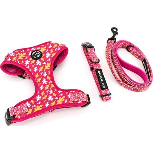 Adjustable Pet Dog Collar Durable Soft Cute Creative Red Fallen Leaves Design Leash Neoprene Harness With Poop Bag Dispenser