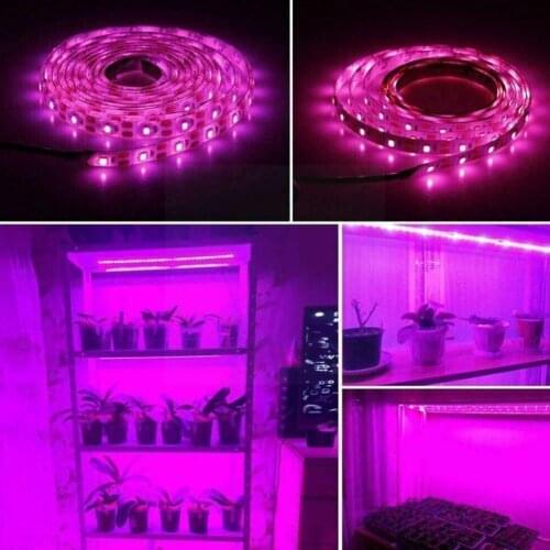 LED Grow Light Full Spectrum USB Grow Light Strip 1m Flowers Phyto SMD Plants For Seed Tape 2835 3m 2m LED DC5V Greenhouses J0A8