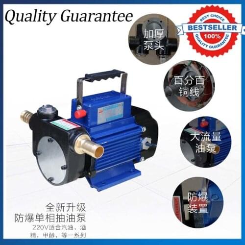 550W Big Power Cast Iron Methanol Pump 220V Electric Self Suction Oil Pump