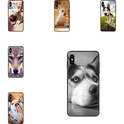 Tpu Black Soft Black Phone Case Boys Funny Animal Miniature Husky For iPhone 11 12 Pro 5 5S SE 5C 6 6S 7 8 X 10 XR XS Plus Max