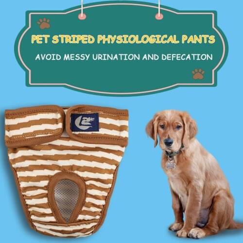 Pet Girl Dog Physiological Pants Breathable Female Dogs Menstrual Period Pant Breathable Striped Diaper Short Washable Underwear