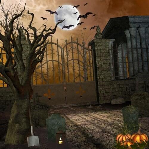 VinylBDS Hollween Photography Background 5x7ft Full Moon Night Bat Cemetery Halloween Backdrop Backdrop Photography