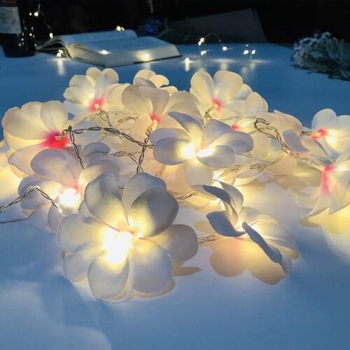 10 LED String Light Foam Artificial Plumeria Flower Battery USB Powered Fairy Starry Lights for Wedding Beach Party Egg Flower