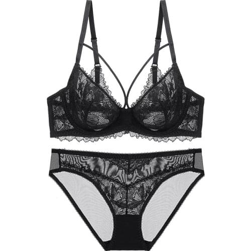 Sexy French Lace Ultra-thin Transparent Bra and Briefs Set Underwear with Push Up Women Lingerie Plus Size A B C D E Cup 95D 95D