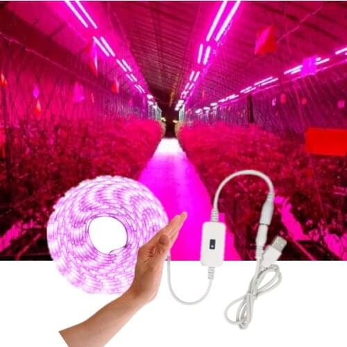 Фитолампы для растений AMCE China At AliExpress