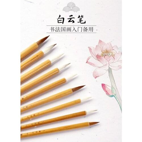Chinese Calligraphy Writing Painting Beginner Brush Pen Student Practice