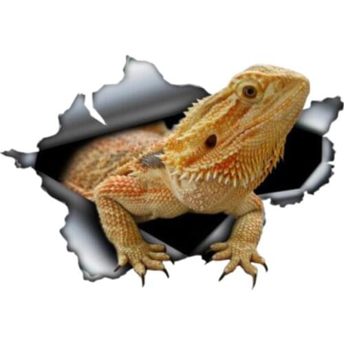 Interesting Fine Car Sticker Accessories 3D Bearded Dragon Animal Decal Car Window Waterproof Graffiti Car Accessories Kk13*9cm