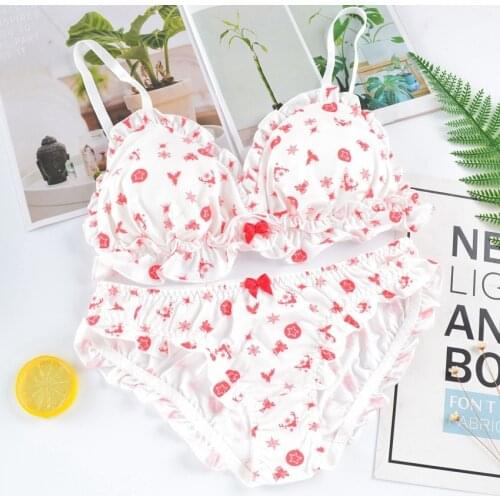 Kawaii Japanese Girl Bra Underwear and Panties Student Wirefree Soft Sleepwear Intimates Set Cute Lolita Bra and Underwear Sett
