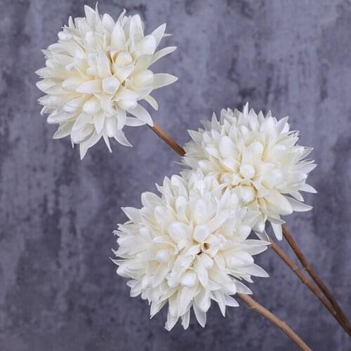 1pcs natural handmade dried flowers Magnolia DIY home living room decoration flower decoration flower arrangement eternal flower