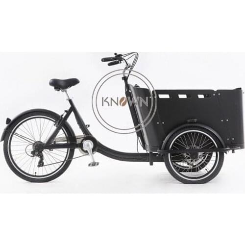 New Style Three Wheel Cargo Bike Electic or Pedal Tricycle Street Fast Food Coffee Cart