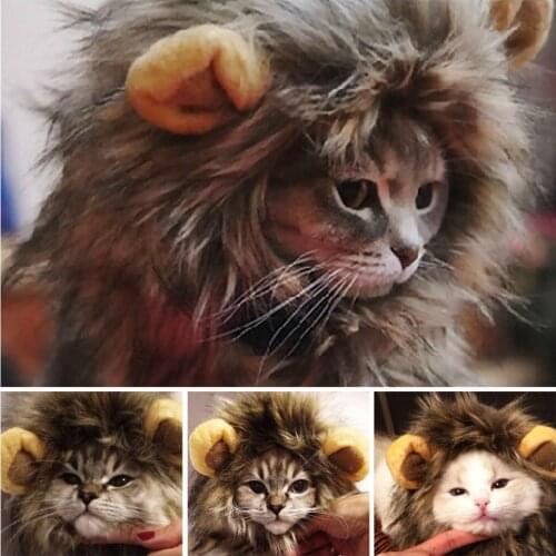 INZOOM BESTCHOI Clothes For Cats