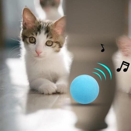 Lakyful Products For Cats