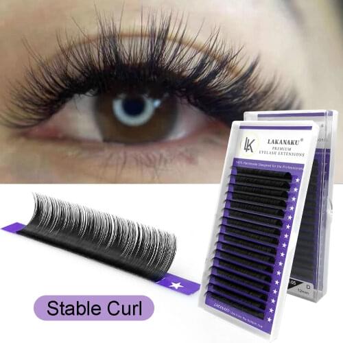 LAKANAKU Individual Classical Eyelashes Soft 16 Rows 0.05-0.20 Russia Volume Silk Faux Mink 8-18 MM Mix Make Up Natural