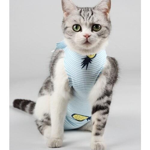 Pet Spring Summer Clothes Post Operative Weaning Clothes Breathable Physiological Clothes Pet Clothes Medication Anti-lick