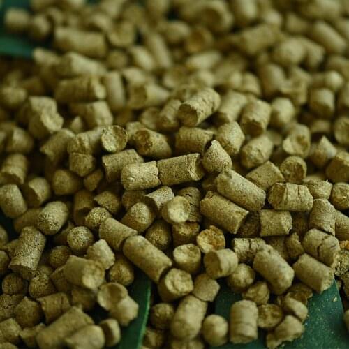 50g Citra hops fragrant flower yeast home brewed wine beer IPA, emperor IPA, pastel Cascade Warrior Hallertauer Tradition Zeus