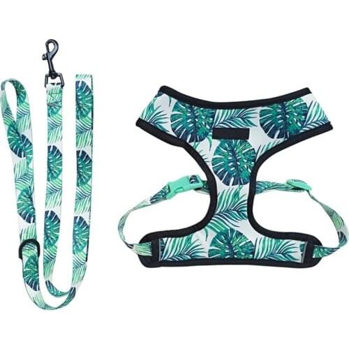 Pet Harness and Leash Set Small Dogs Vest Breathable Adjustable Pets Outdoor Walking Training