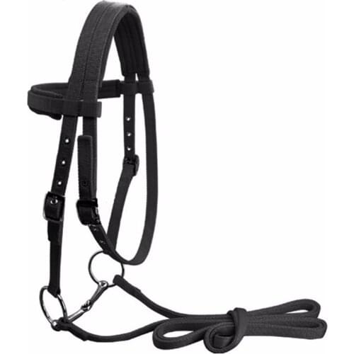 Adjustable Horse Riding Equipment Halter Horse Bridle with Bit and Rein Belt for Horse Equestrian Accessories Soft Thicken Large