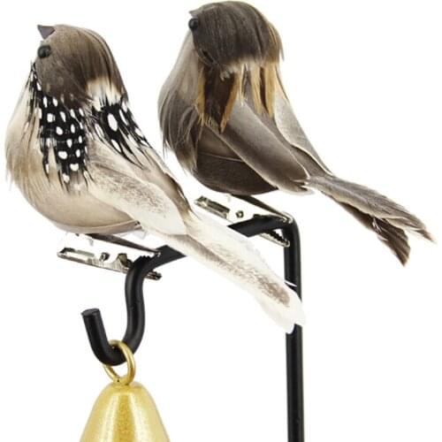 Пособия по биологии Cecnca China At AliExpress