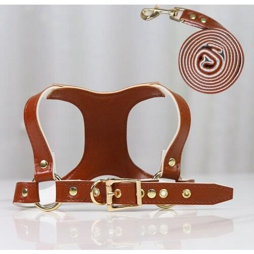 Top Selling Personalized Wholesal Training Lead Rope Designer Custom Pu Long Dog Retractable Leash Dog Harness Dog Leash Leather