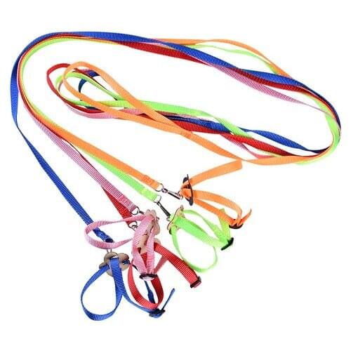 Pet Parrot Bird Harness Leash Flying Rope Straps Outdoor Training Traction Rope For Small Birds