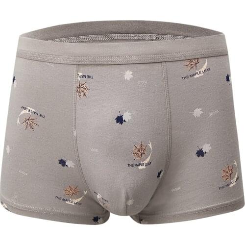 4PCS/lot Male Panties Cotton Mens Underwear Boxer Breathable Man Boxers Solid Underpants Comfortable Shorts