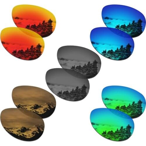 SmartVLT 5 Pairs Polarized Sunglasses Replacement Lenses for Oakley Feedback - 5 Colors