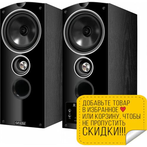 Ginzzu Speaker Kits