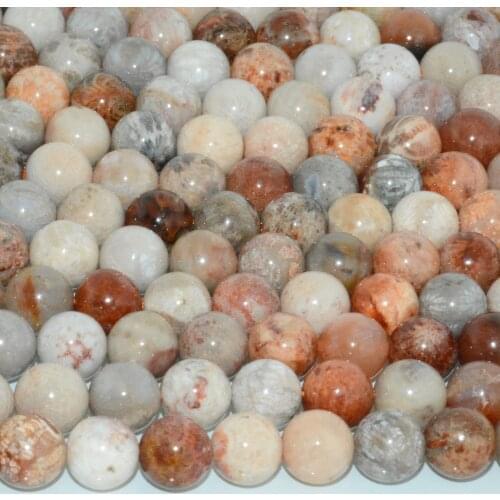 Natural Mixed Fossil Coral / Agatized Coral Loose Round Beads 8mm