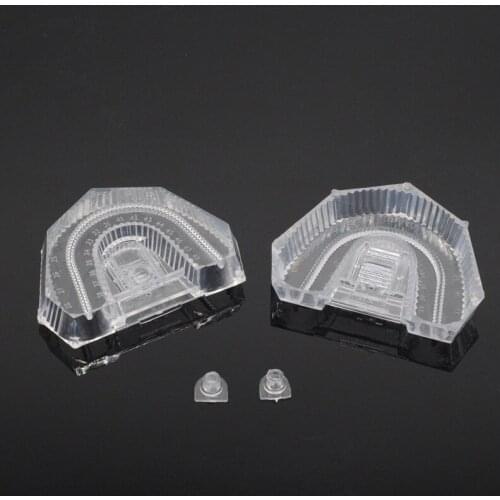 50 Pcs Dental Material Strong Plastic Disposable Sectioned Base Box Transparent For Dentistry Lab Item