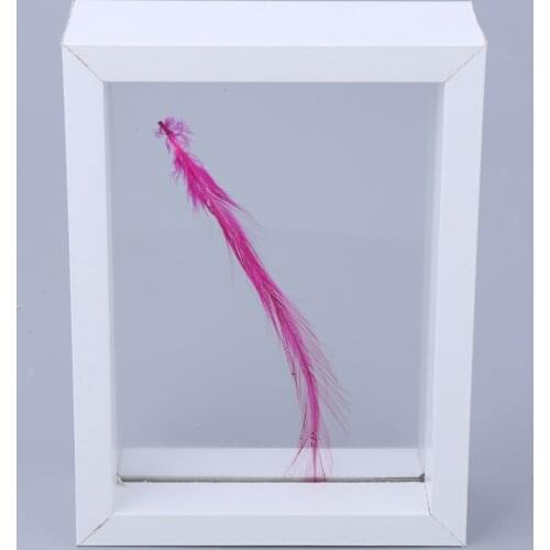 Double -sided Glass Specimen Frame ,DIY Plant Insect Wood Frame, Shadow Box with Glass Front for Plant Specimen and Photos