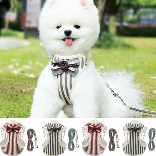 Pet Supplies Dog Harness Leash Set Breathable Mesh Vest Pet Leash Set for Small Dogs Pet Collar Accessories