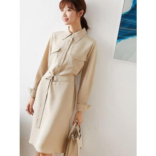 Dress New Pure silk color commuter wear long sleeve mulberry silk shirt 30 meters heavy silk dress female
