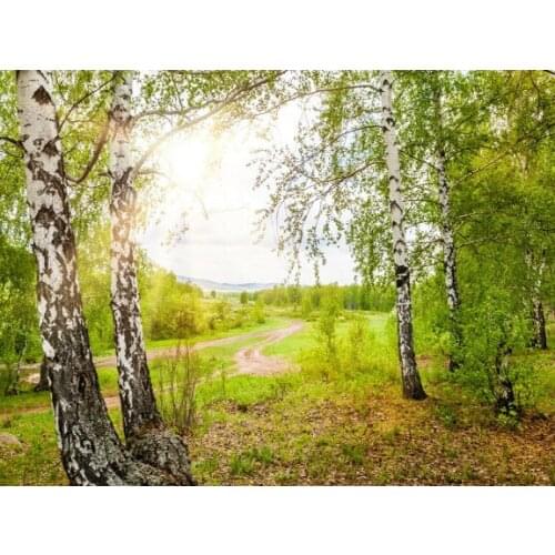 A10756 11CT/14CT/18CT/25CT/28CT christmas man patterns Counted Cross Stitch DIY Cross Stitch Kits Embroidery Needlework Sets