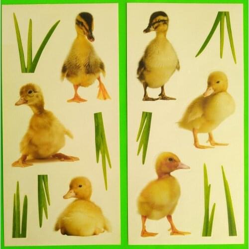 24 packs/box DUCKS; PVC Sticker DIY Wall Kitchen Kids Living Room Door Plate Cup Vase Tile Accessory Decor, Functional Toy Hobby