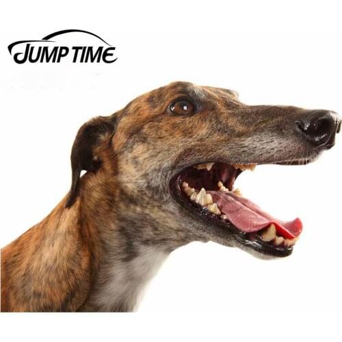 Jump Time 13 x 8.8cm Greyhound Dog Car Stickers Vinyl Window Trunk Decal Motorcycle Occlusion Scratch Windshield Decoration
