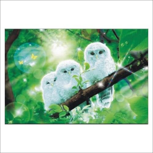 5D DIY Diamond Painting Cross Stitch White Owl Baby Full SquareEmbroidery Needlework Rhinestone Mosaic Decor T 090