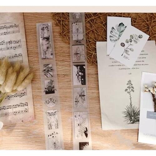 Vintage Wings PET Tapes Bullet Journal Masking Tape Adhesive Tape DIY Scrapbooking PET Stickers
