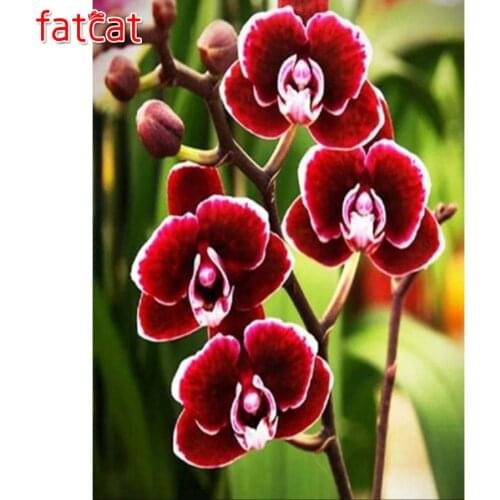 FATCAT Red flower 5d diy diamond painting cross stitch full square round drill diamond embroidery sale wall decoration AE3044