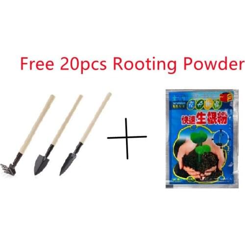 3 Pieces/set Of Mini Garden Shovel Rake Shovel Potted Plant Maintenance Tool Mini Planting Set Wooden Handle Shovel Set