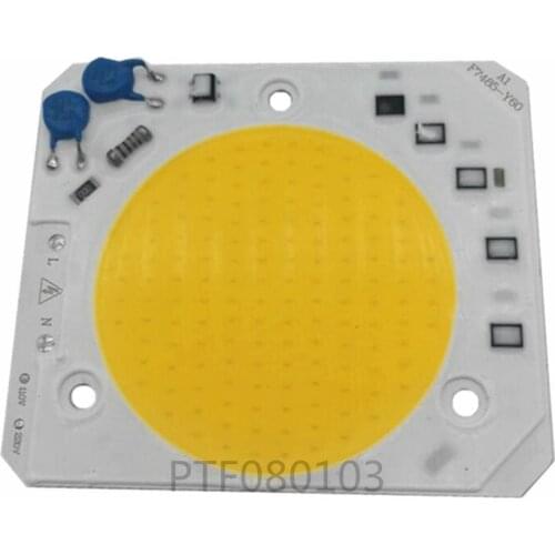 50W 220V Warm White IP65 Floodlight High Power Integrated LED COB Chip 50W 220V Matrix LED Spotlight DIY Flood Light Outdoor Str