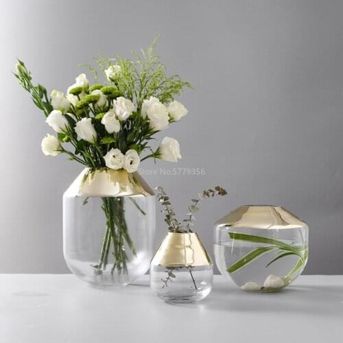 Scandinavian Glass Vase with Gold Plating Transparent Hydroponic Flower Vases Creative Design Bowl Aquarium Flower Pot Home Deco