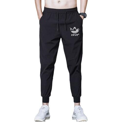 Casual Pants Totoro print Hip hop Pants Streetwear Print Joggers Pants comfortable Trousers Track Pants