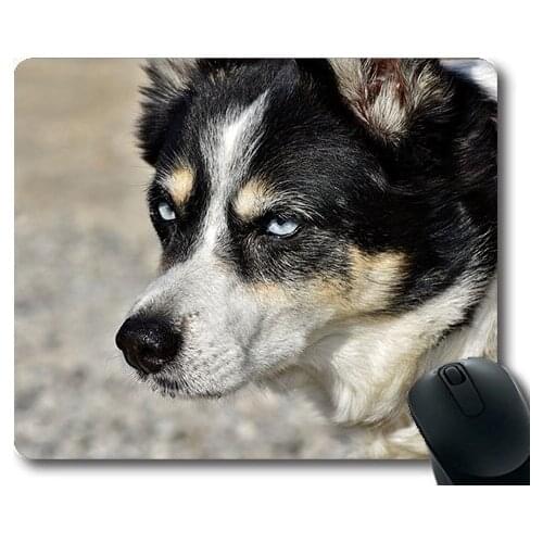 Dogs pets garden Mouse Pads ,Hybrid Dog Small Dog Pet Animal Head Dog Head01,dogs mouse mat