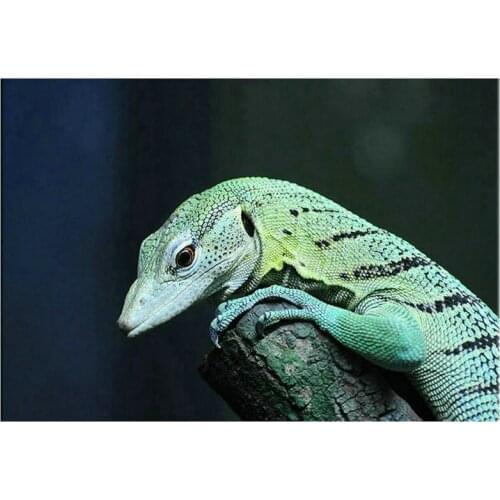 Full square / round diamond painting animal cross stitch diy 5d diamond mosaic lizard crafts diamond art decoration