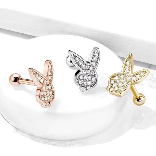 1PC 18G Stainless Steel Helix Piercing Jewelry Cubic Zirconia Ear Lobe Tragus Daith Cartilage Screw Back Earring Stud