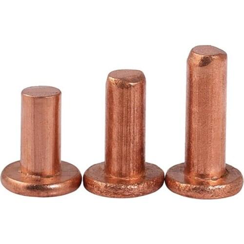 50Pcs M2 M2.5 M3 Standard GB109 Flat Head Copper Rivet Solid Rivet Flat Cap Copper Nail