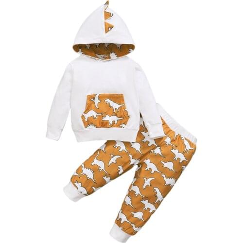 Newborn Baby Girls Clothes Sets 2021 Autumn Infant Long Sleeve Pocket Hoodie Top + Pants Dinosaur Print Outfit Todlder Tracksuit