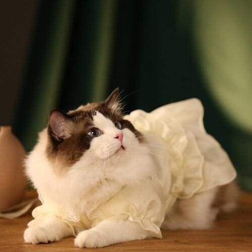 Fresh little princess cat skirt clothes cat cat thin anti-hair loss pet kitten puppet cat cute skirt kitten spring and summer