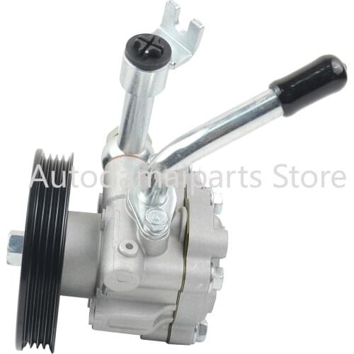 AP02 Power Steering Pump 491103X01A for Nissan NP300 Navara Frontier D40 Pathfinder R51