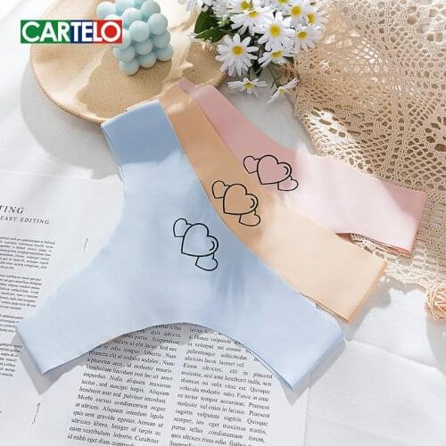 CARTELO Women Underwear